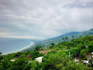Taiwan Taitung Taimali coffee farm visit - dou coffee