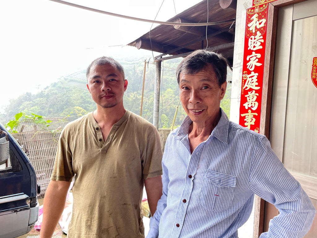 Exploring the Aromatic Heights of Alishan: A Visit to Hong Sing Coffee Farm - dou coffee