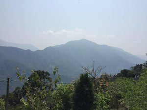 Taiwan Tainan Dongshan coffee farm trip - dou coffee