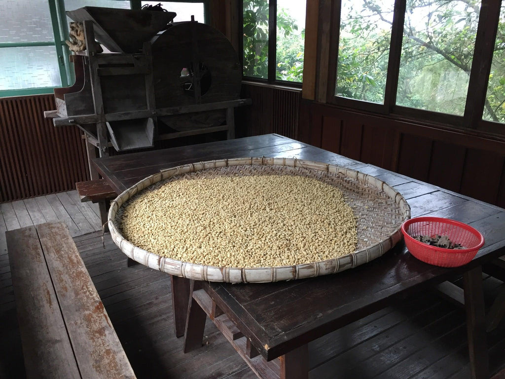 The rise of Taiwan's coffee farming industry - dou coffee