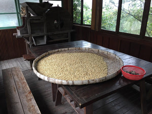 The rise of Taiwan's coffee farming industry - dou coffee
